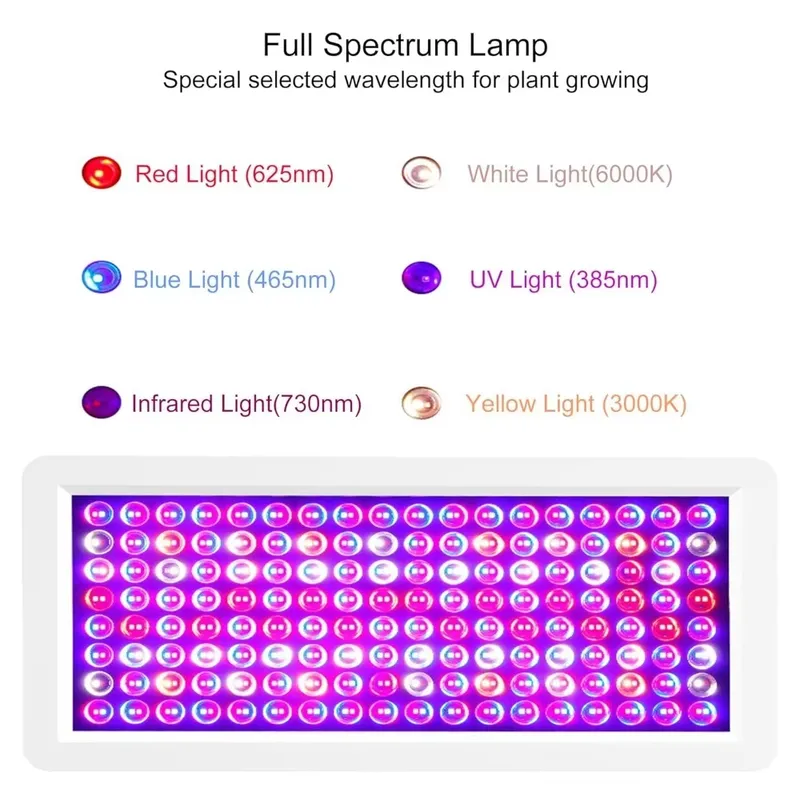 2026 Latest UV Light Box for S - Sneaker Box review and price
